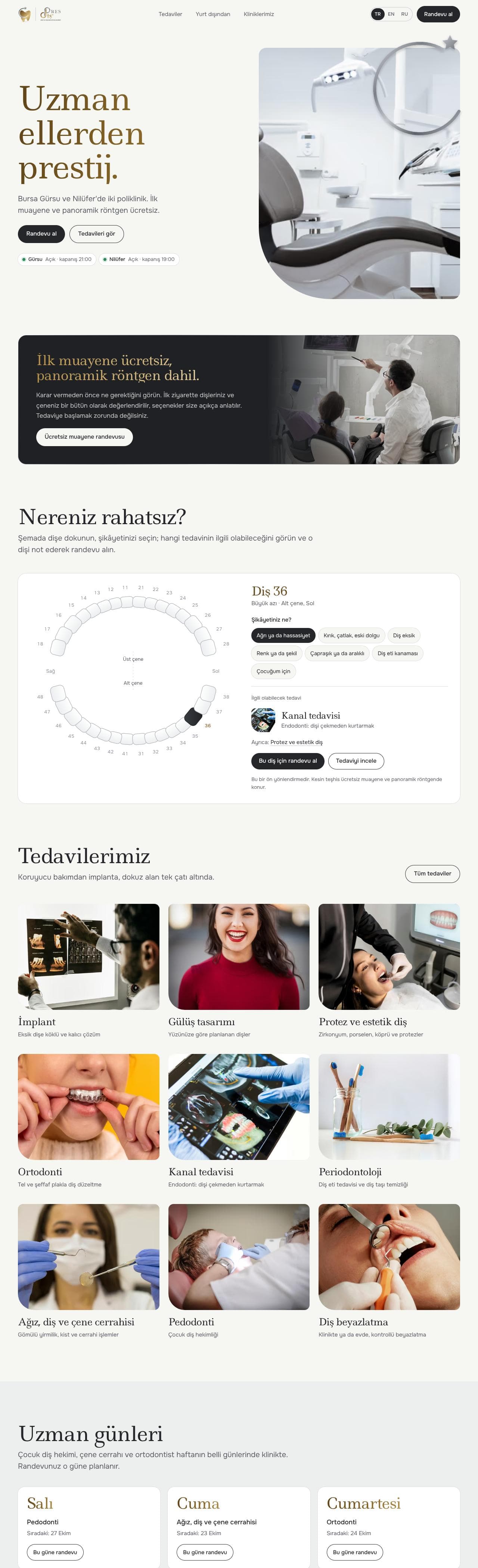 Pres Diş desktop web design